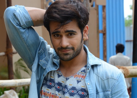 Pearl V Puri Biography, (Naagin 3) wiki, Height, Weight, Age, Affairs